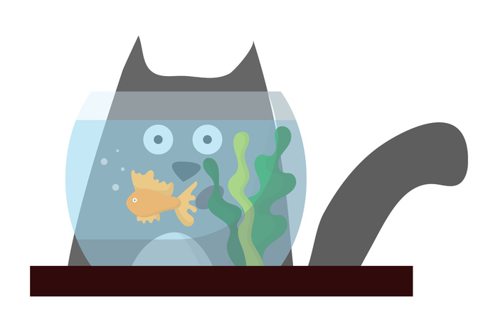 一只灰色惊讶猫的插图，猫看着水族馆