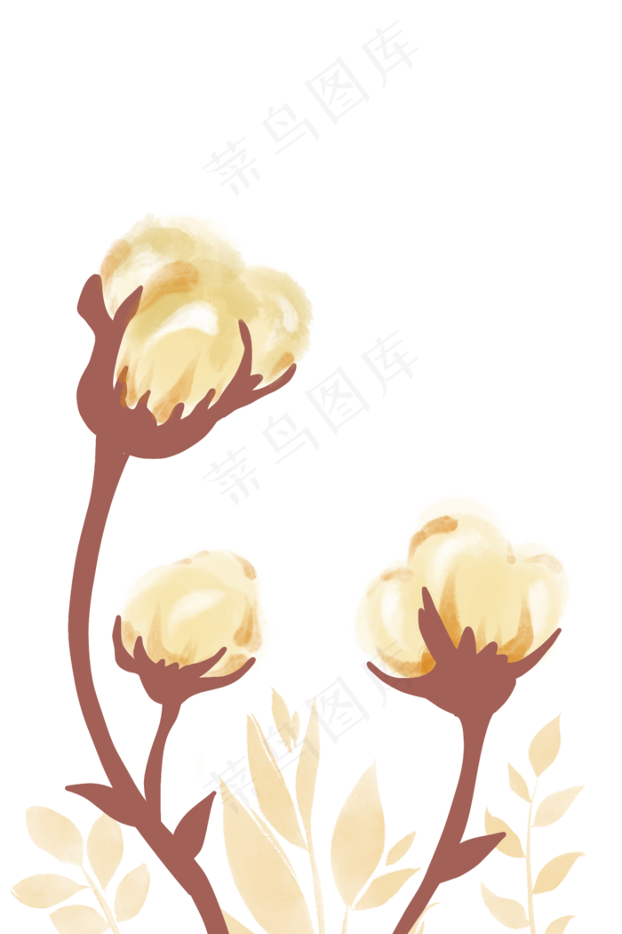 二十四节气寒露棉花(1024X1536(DPI:300))psd模版下载