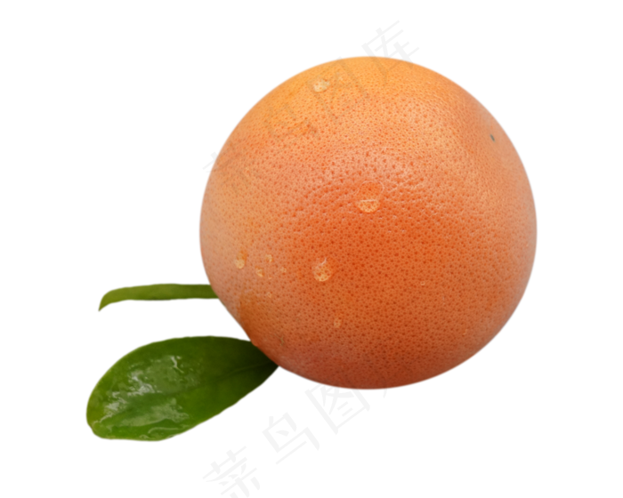 橙色水果橙子