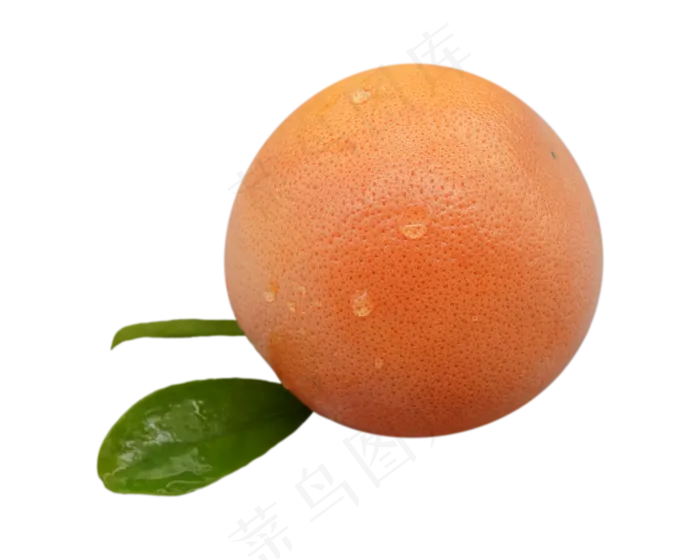 橙色水果橙子(3000X2000(DPI:300))