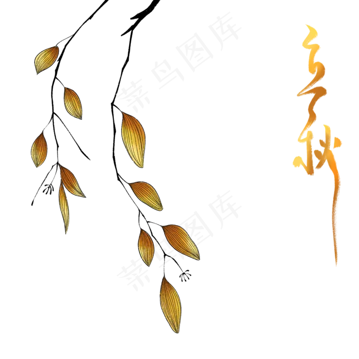 节气立秋植物(2000X2000(DPI:300))psd模版下载