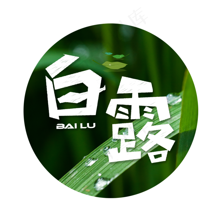 白露白色卡通艺术字(2000X2000(DPI:300))psd模版下载