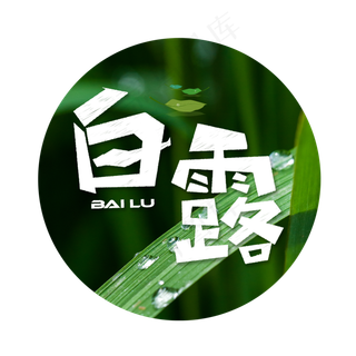 白露白色卡通艺术字