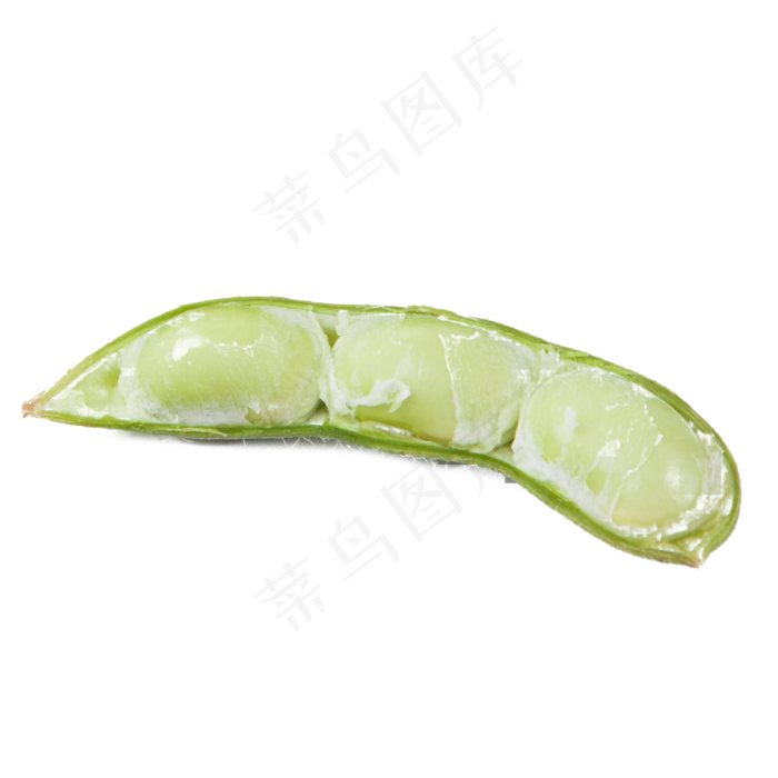 实拍一个开壳蔬菜豆角