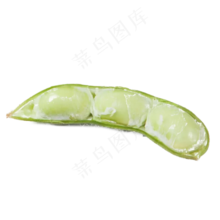 实拍一个开壳蔬菜豆角(2000X2000(DPI:300))psd模版下载