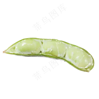 实拍一个开壳蔬菜豆角