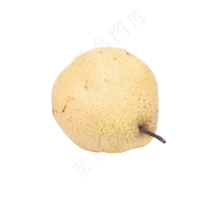 黄色水果大鸭梨实拍