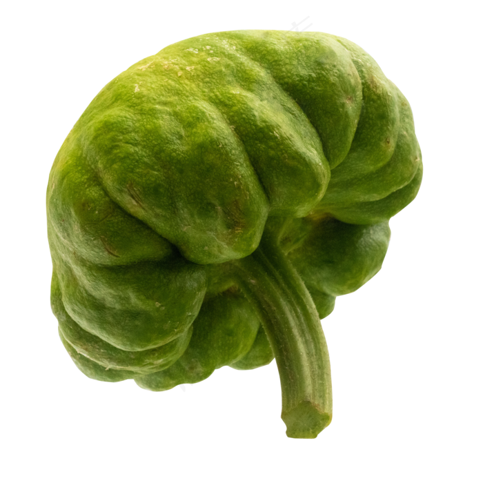 绿色蔬菜青南瓜(2000*2000px 300 dpi )