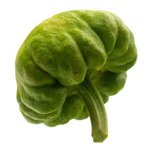 绿色蔬菜青南瓜 绿色蔬菜青南瓜