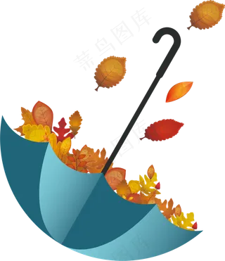 伞与枫叶的故事