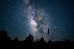 蓝色星空下森林的低角度拍摄