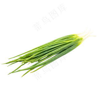 绿色蔬菜小葱
