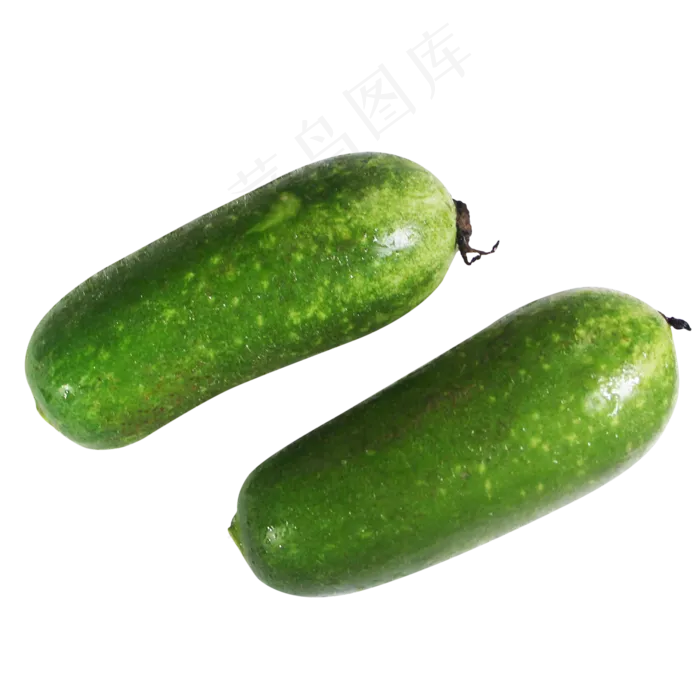 节瓜蔬菜(2000X2000(DPI:300))