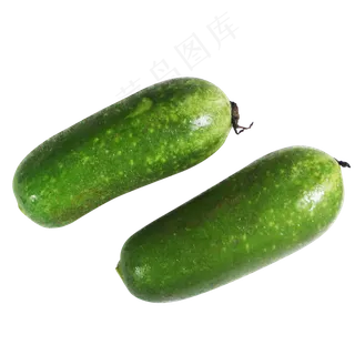 节瓜蔬菜 节瓜蔬菜