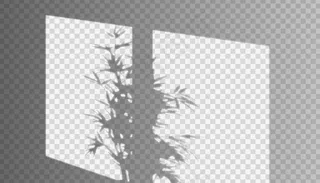 矢量真实窗口阴影，透明墙上有三个