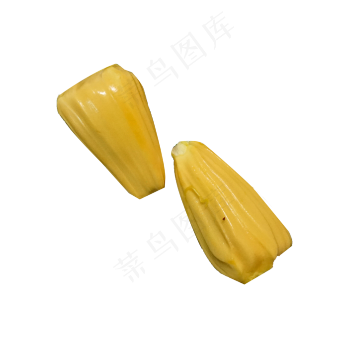 两个新鲜美味的菠萝蜜(2000X2000(DPI:300))psd模版下载