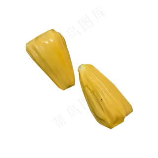 两个新鲜美味的菠萝蜜 两个新鲜美味的菠萝蜜