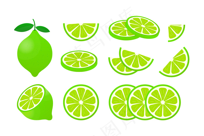 青柠叶，白底柑橘片。插图。