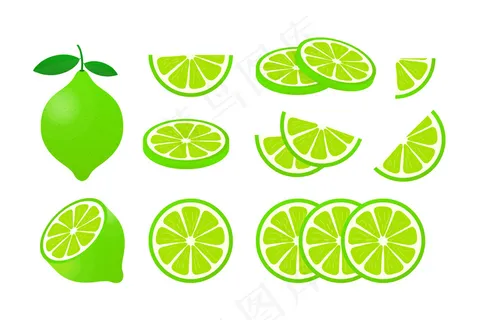 青柠叶,白底柑橘片。插图。 青柠叶,白底柑橘片。插图。