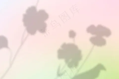 两种颜色渐变中的美学花影背景矢量