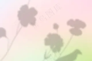 两种颜色渐变中的美学花影背景矢量