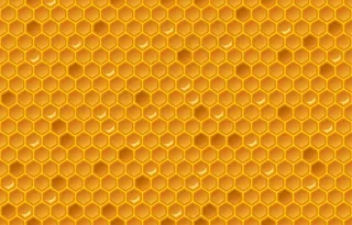 蜂巢图案