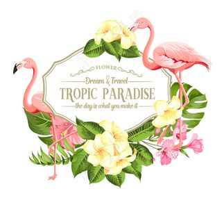 白色背景上热带花卉和火烈鸟的框架。矢量插图。