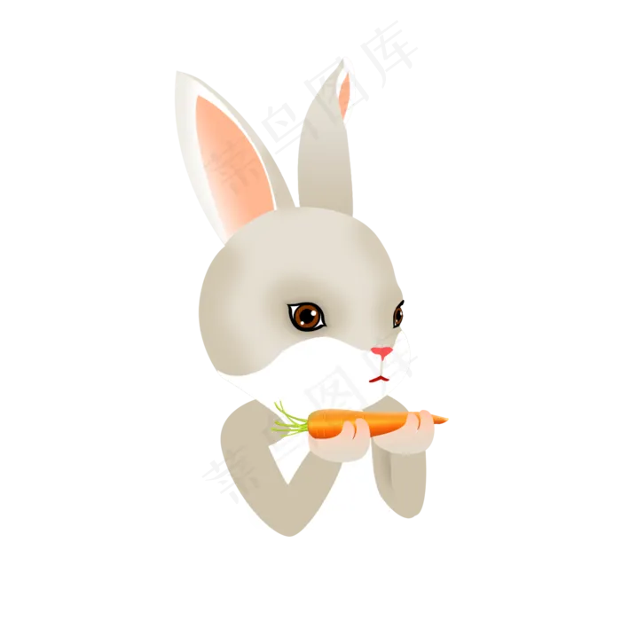 矢量吃萝卜的小兔子(2000X2000(DPI:300))psd模版下载