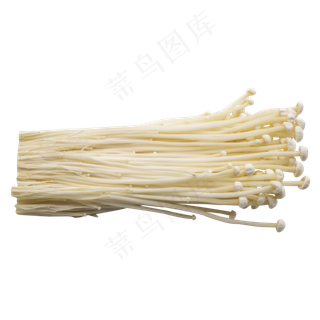 白色金针菇食材