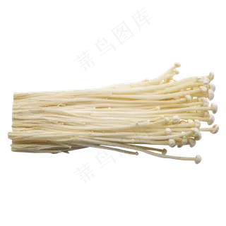 白色金针菇食材