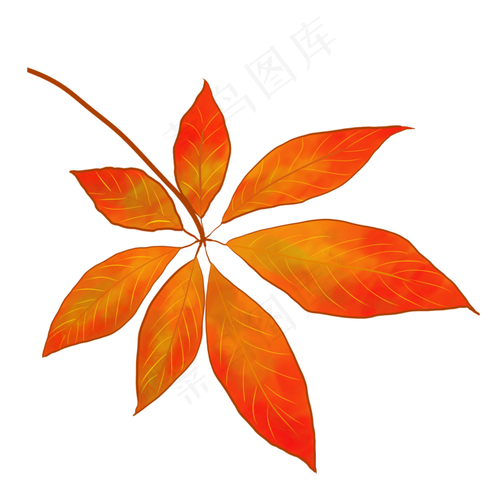 立秋秋季枫叶设计(3000X3000(DPI:300))psd模版下载