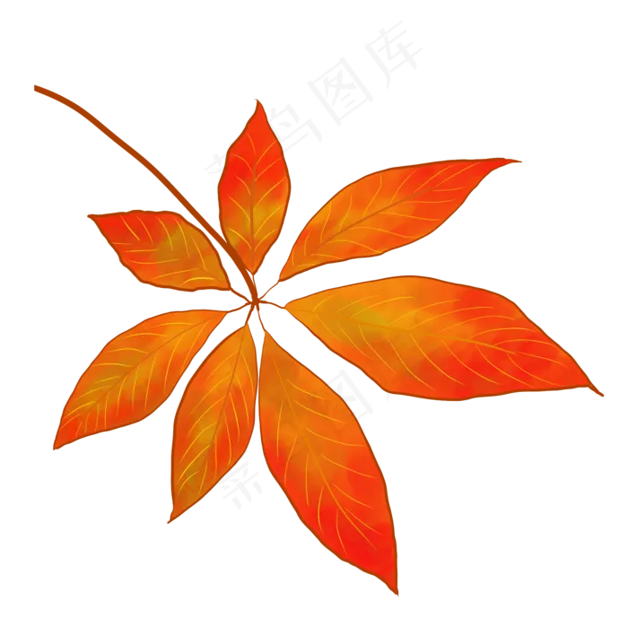 立秋秋季枫叶设计(3000X3000(DPI:300))psd模版下载