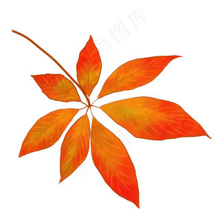 立秋秋季枫叶设计
