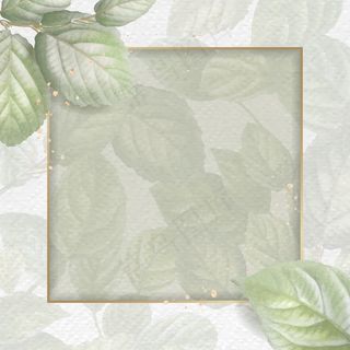 树叶背景上的金框
