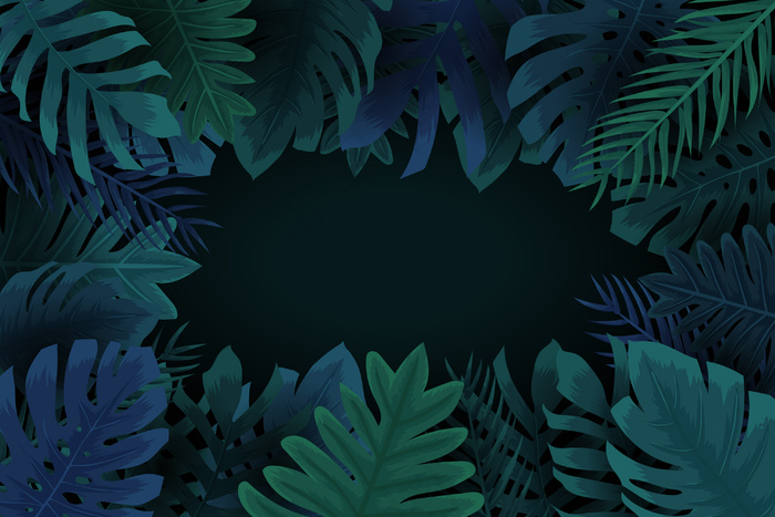 具有复制空间的真实深色热带树叶背景