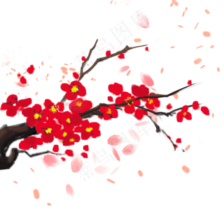 冬天梅花樱花花瓣新年