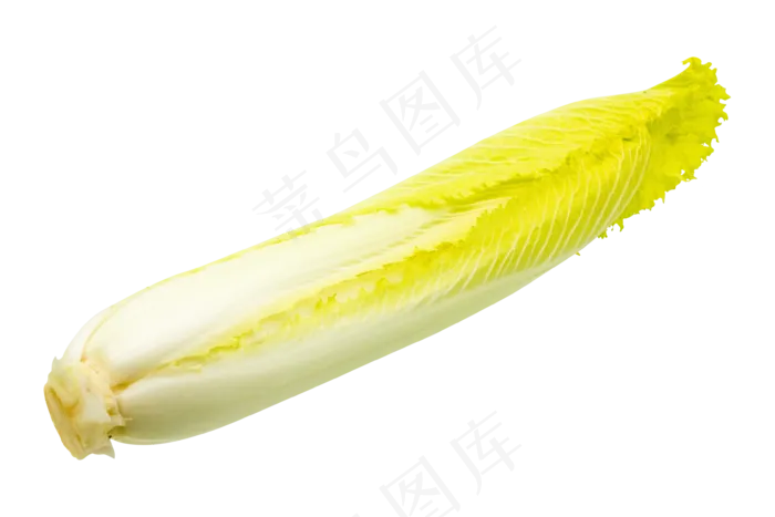 绿色蔬菜白菜(2000X2000(DPI:300))