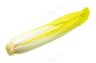绿色蔬菜白菜