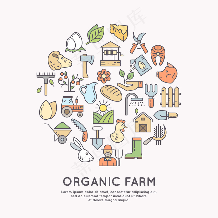 有机农场的插图。现代线性图形中的设计元素、蔬菜和水果。