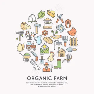 有机农场的插图。现代线性图形中的设计元素、蔬菜和水果。