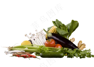 营养合理蔬菜组合