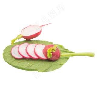 有机蔬菜水萝卜