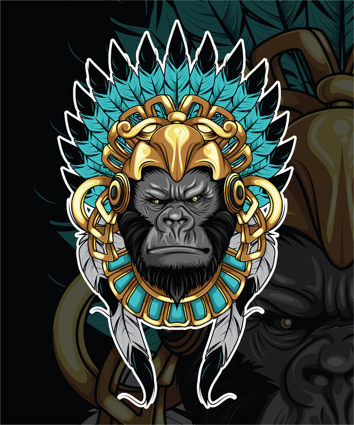 印度帽大猩猩插图