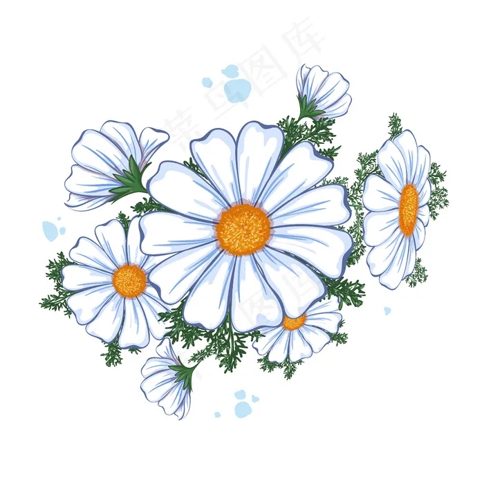 夏季花卉成分。一束白雏菊。eps,ai矢量模版下载