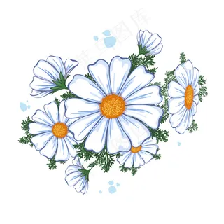 夏季花卉成分。一束白雏菊。