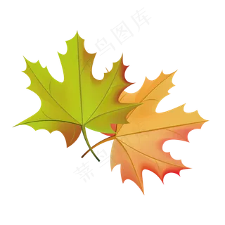 卡通枫叶矢量素材