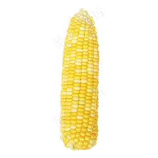 珍珠玉米蔬菜