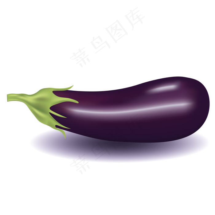矢量仿真茄子
