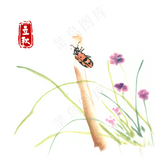 立秋树干上的瓢虫