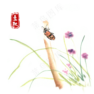 立秋树干上的瓢虫